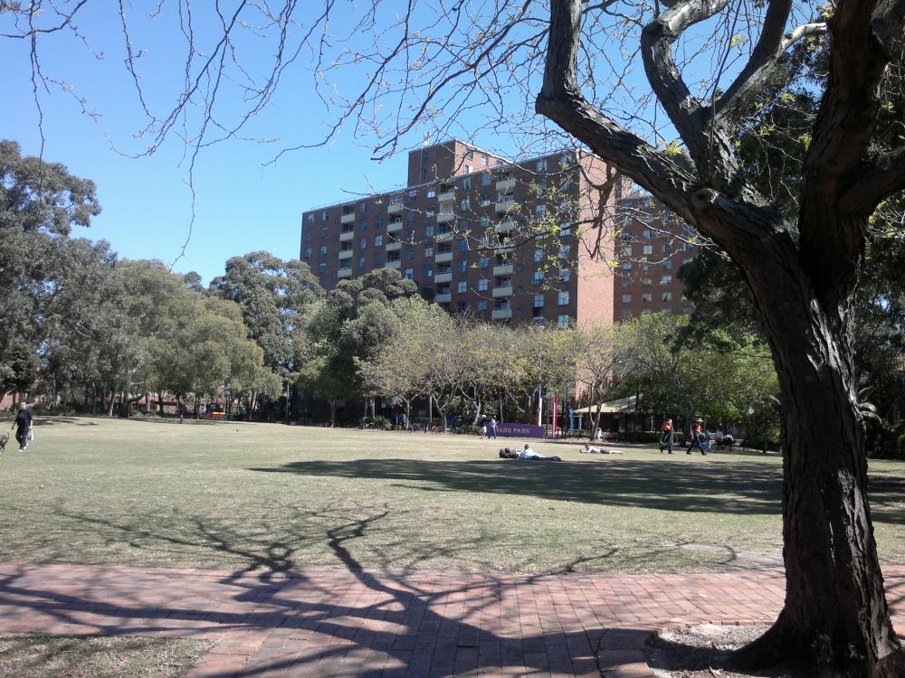 Eddie Ward park - Sydney