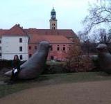 Questing - celoroční hledačky po opavských parcích, 5. A